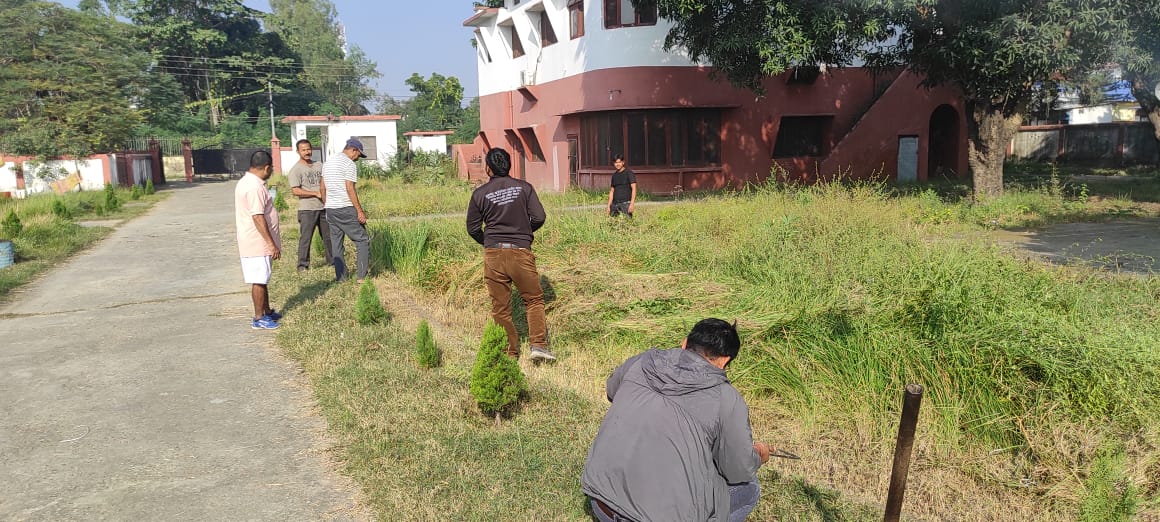 दैनिक